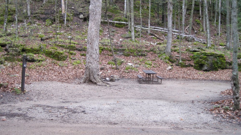 Photo of Campsite 42 in Daisy Field South Campground at Potawatomi